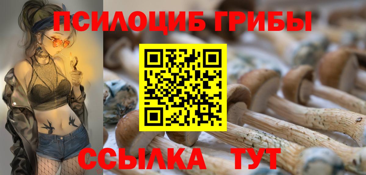 Псилоцибиновые грибы Cubensis  Вход с VPN  как найти закладки  Ревда 